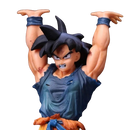 son goku force